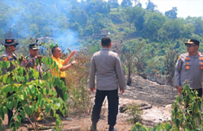 Upaya pemadaman karhutla di kawasan perbatasan Riau-Sumbar/Foto: mediacenter.riau